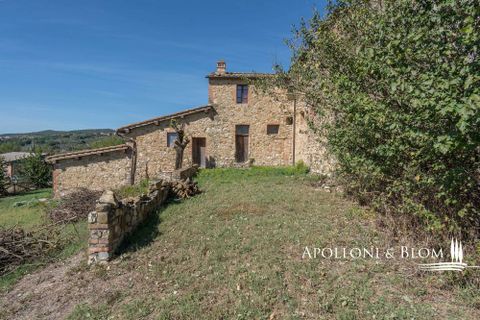 Gårdshus i Murlo, Siena, Murlo - € 480 000 | Ref: SIE3299-690071 - foto 15