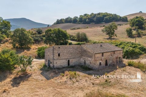 Farm hus i Radicofani, Siena, Radicofani - € 650.000 | Ref: VAL3310-690339 - foto 2