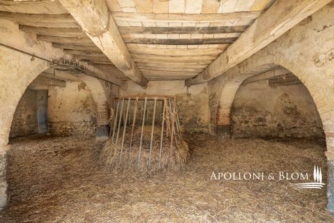 Farm hus i Radicofani, Siena, Radicofani - € 650.000 | Ref: VAL3310-690339 - foto 15