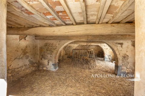 Farm hus i Radicofani, Siena, Radicofani - € 650.000 | Ref: VAL3310-690339 - foto 16