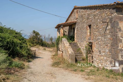 Farm hus i Radicofani, Siena, Radicofani - € 650.000 | Ref: VAL3310-690339 - foto 19