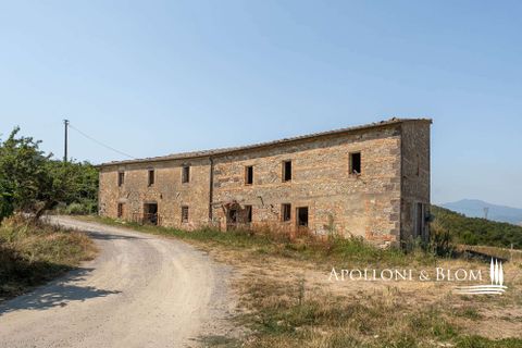 Farm hus i Radicofani, Siena, Radicofani - € 650.000 | Ref: VAL3310-690339 - foto 20