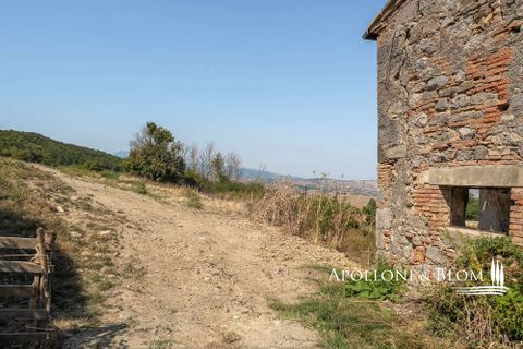 Farm hus i Radicofani, Siena, Radicofani - € 650.000 | Ref: VAL3310-690339 - foto 23