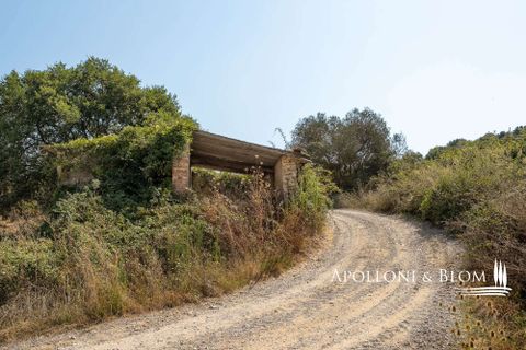 Farm hus i Radicofani, Siena, Radicofani - € 650.000 | Ref: VAL3310-690339 - foto 25