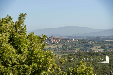 Villa i Trequanda, Siena, Trequanda - € 1.900.000 | Ref: TRQ3312-690404 - foto 4