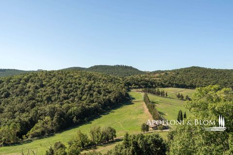 Villa i Trequanda, Siena, Trequanda - € 1.900.000 | Ref: TRQ3312-690404 - foto 6
