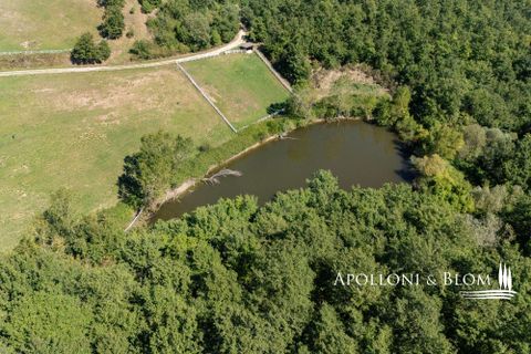 Villa i Trequanda, Siena, Trequanda - € 1.900.000 | Ref: TRQ3312-690404 - foto 8