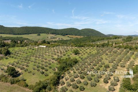 Villa i Trequanda, Siena, Trequanda - € 1.900.000 | Ref: TRQ3312-690404 - foto 9