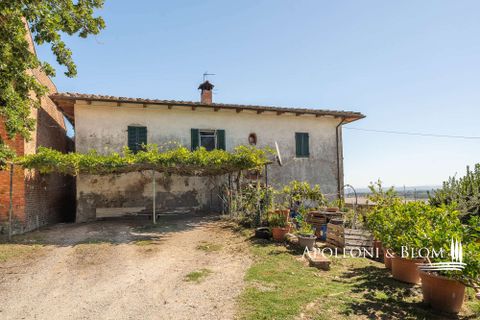 Villa i Trequanda, Siena, Trequanda - € 1.900.000 | Ref: TRQ3312-690404 - foto 15