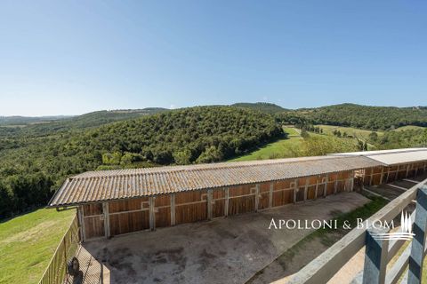 Villa i Trequanda, Siena, Trequanda - € 1.900.000 | Ref: TRQ3312-690404 - foto 31