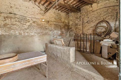 Villa i Trequanda, Siena, Trequanda - € 1.900.000 | Ref: TRQ3312-690404 - foto 37