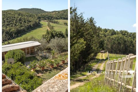 Villa i Trequanda, Siena, Trequanda - € 1.900.000 | Ref: TRQ3312-690404 - foto 40