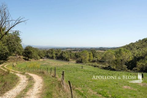 Villa i Trequanda, Siena, Trequanda - € 1.900.000 | Ref: TRQ3312-690404 - foto 41