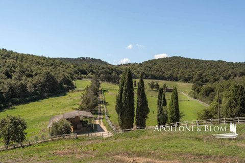 Villa i Trequanda, Siena, Trequanda - € 1.900.000 | Ref: TRQ3312-690404 - foto 42