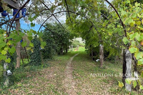 Farm hus i Trequanda, Siena, Trequanda - € 680.000 | Ref: TRQ3361-690688 - foto 28