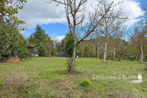 Farm hus i Trequanda, Siena, Trequanda - € 680.000 | Ref: TRQ3361-690688 - foto 29