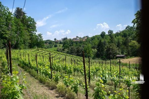 Villa i Asti, Asti, Asti - € 2.550.000 | Ref: AST3365-690689 - foto 48