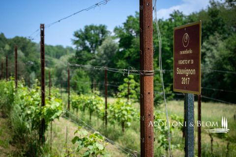 Villa i Asti, Asti, Asti - € 2.550.000 | Ref: AST3365-690689 - foto 49