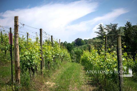 Villa i Asti, Asti, Asti - € 2.550.000 | Ref: AST3365-690689 - foto 50