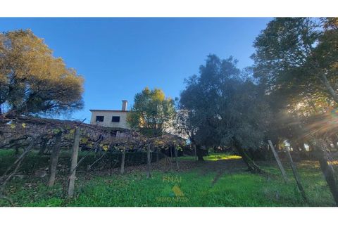 Villa i Ponte de Lima, Viana do Castelo, Ponte de Lima - € 398.000 | Ref: PTL-019-009 - foto 17