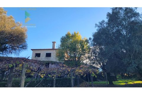Villa i Ponte de Lima, Viana do Castelo, Ponte de Lima - € 398.000 | Ref: PTL-019-009 - foto 18