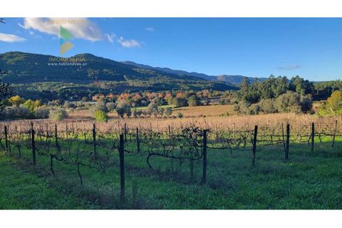 Villa i Ponte de Lima, Viana do Castelo, Ponte de Lima - € 398.000 | Ref: PTL-019-009 - foto 22