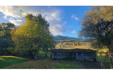 Villa i Ponte de Lima, Viana do Castelo, Ponte de Lima - € 398.000 | Ref: PTL-019-009 - foto 23