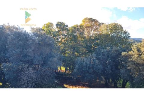 Villa i Ponte de Lima, Viana do Castelo, Ponte de Lima - € 398.000 | Ref: PTL-019-009 - foto 25