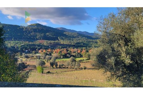Villa i Ponte de Lima, Viana do Castelo, Ponte de Lima - € 398.000 | Ref: PTL-019-009 - foto 5