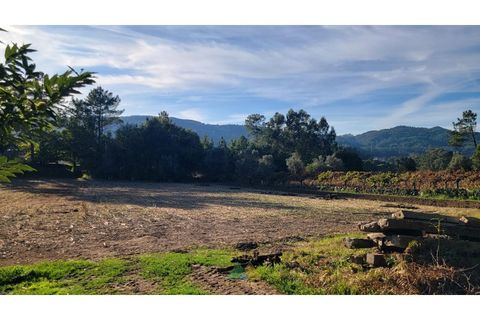 Helårsgrund i Ponte de Lima, Viana do Castelo, Ponte de Lima - € 75.000 | Ref: PTL-019-008 - foto 1