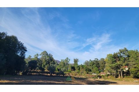 Helårsgrund i Ponte de Lima, Viana do Castelo, Ponte de Lima - € 75.000 | Ref: PTL-019-008 - foto 2