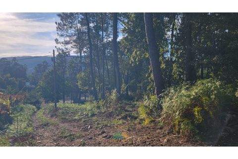 Helårsgrund i Ponte de Lima, Viana do Castelo, Ponte de Lima - € 75.000 | Ref: PTL-019-008 - foto 3