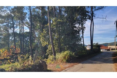 Helårsgrund i Ponte de Lima, Viana do Castelo, Ponte de Lima - € 75.000 | Ref: PTL-019-008 - foto 4