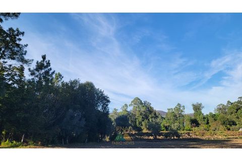 Helårsgrund i Ponte de Lima, Viana do Castelo, Ponte de Lima - € 75.000 | Ref: PTL-019-008 - foto 5