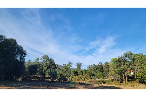Helårsgrund i Ponte de Lima, Viana do Castelo, Ponte de Lima - € 75.000 | Ref: PTL-019-008 - foto 6