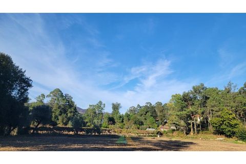 Helårsgrund i Ponte de Lima, Viana do Castelo, Ponte de Lima - € 75.000 | Ref: PTL-019-008 - foto 7