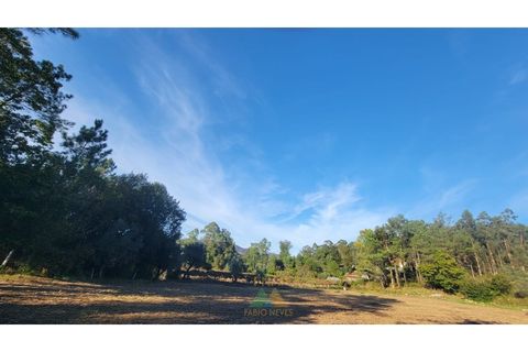 Helårsgrund i Ponte de Lima, Viana do Castelo, Ponte de Lima - € 75.000 | Ref: PTL-019-008 - foto 9