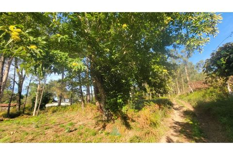 Helårsgrund i Ponte de Lima, Viana do Castelo, Ponte de Lima - € 75.000 | Ref: PTL-019-008 - foto 10