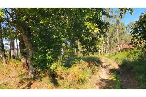 Helårsgrund i Ponte de Lima, Viana do Castelo, Ponte de Lima - € 75.000 | Ref: PTL-019-008 - foto 12