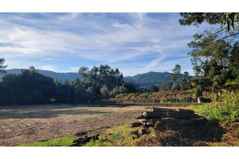 Helårsgrund i Ponte de Lima, Viana do Castelo, Ponte de Lima - € 75.000 | Ref: PTL-019-008 - foto 13