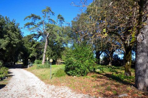 Villa i Allerona, Terni, Allerona - € 115.000 | Ref: OR5319M-739625 - foto 25