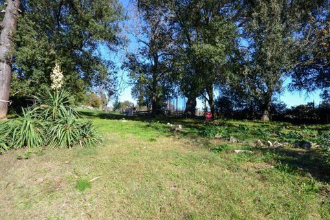 Villa i Allerona, Terni, Allerona - € 115.000 | Ref: OR5319M-739625 - foto 26