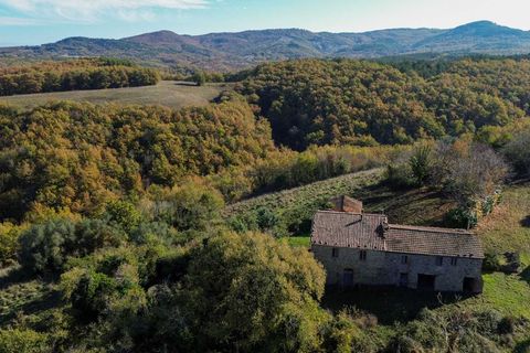 Villa i Parrano, Terni, Parrano - € 197.000 | Ref: OR6221M-739655 - foto 30