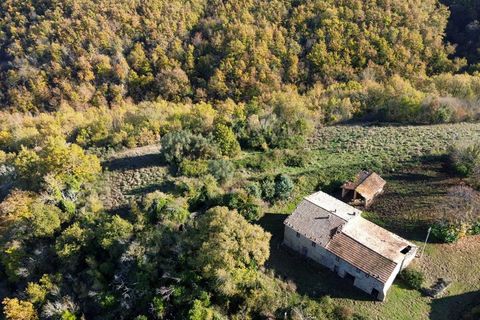 Villa i Parrano, Terni, Parrano - € 197.000 | Ref: OR6221M-739655 - foto 31