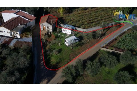 Ruinere i Castelo Branco, Castelo Branco, Castelo Branco - € 29.000 | Ref: RF74 - foto 2