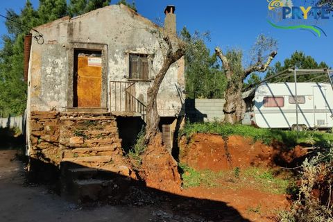 Ruinere i Castelo Branco, Castelo Branco, Castelo Branco - € 29.000 | Ref: RF74 - foto 4