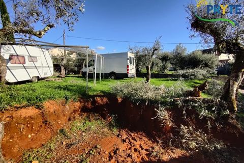Ruinere i Castelo Branco, Castelo Branco, Castelo Branco - € 29.000 | Ref: RF74 - foto 5