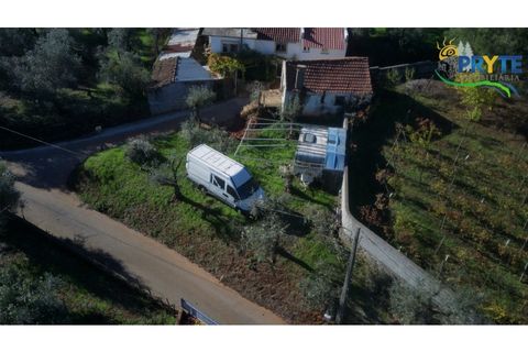 Ruinere i Castelo Branco, Castelo Branco, Castelo Branco - € 29.000 | Ref: RF74 - foto 7