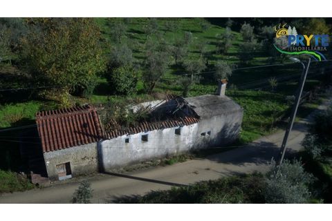 Ruïna a Cabecudo, Castelo Branco, Cabecudo - € 26.000 | Ref: RF75 - foto 4