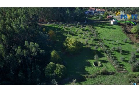 Ruïna a Cabecudo, Castelo Branco, Cabecudo - € 26.000 | Ref: RF75 - foto 6